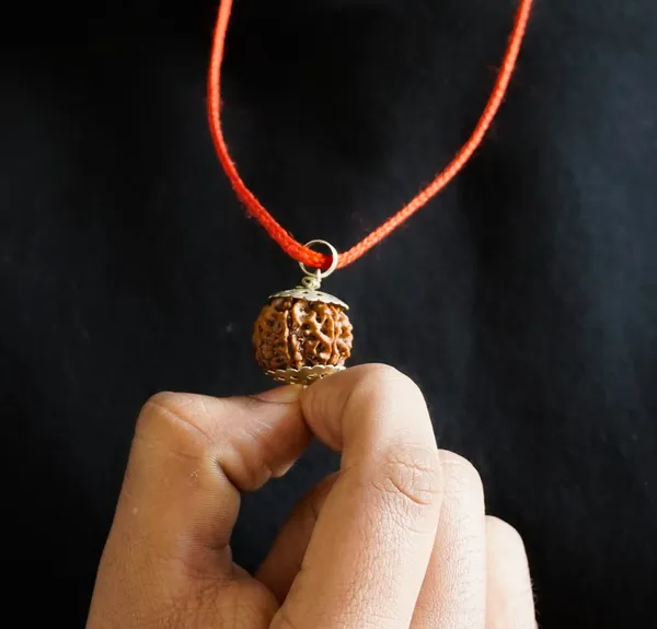 7_Mukhi_Rudraksha_Brown_Bead_Pendant_Mala_(Saat_Mukhi)