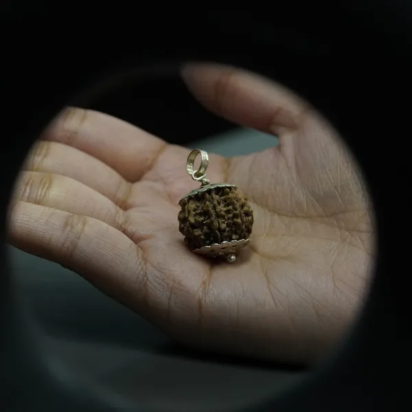 7_Mukhi_Rudraksha_Brown_Bead_Pendant_Mala_(Saat_Mukhi)