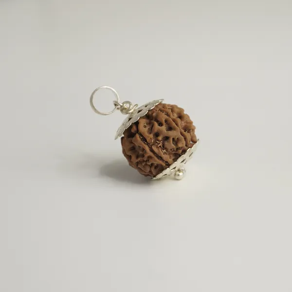 7_Mukhi_Rudraksha_Brown_Bead_Pendant_Mala_(Saat_Mukhi)