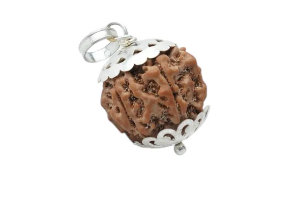 7_Mukhi_Rudraksha_Brown_Bead_Pendant_Mala_(Saat_Mukhi)