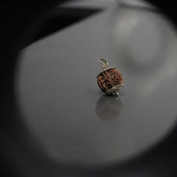 7_Mukhi_Rudraksha_Brown_Bead_Pendant_Mala_(Saat_Mukhi)