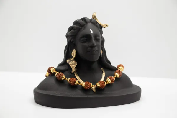 Rudraksha_Brown_Bead_Bracelet,_Lab_Certified