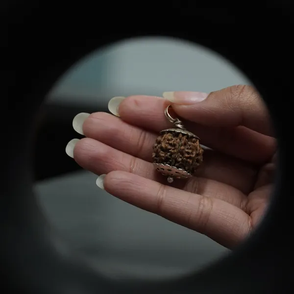 7_Mukhi_Rudraksha_Brown_Bead_Pendant_Mala_(Saat_Mukhi)