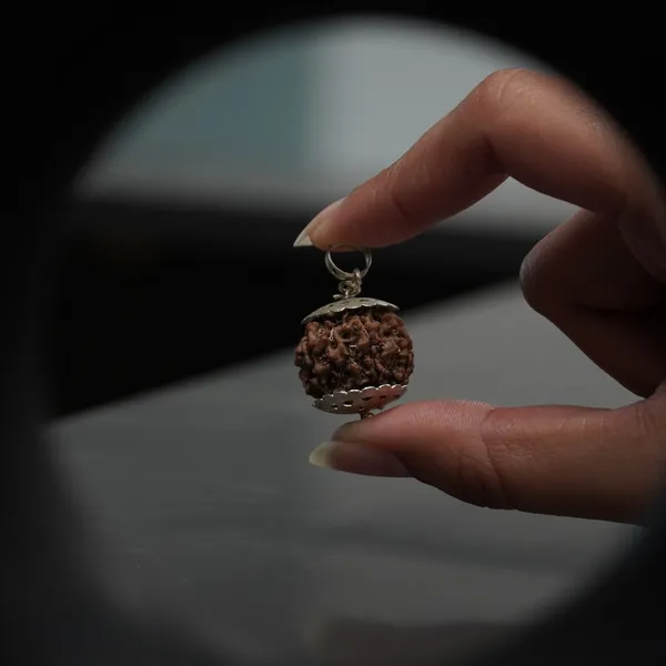 7_Mukhi_Rudraksha_Brown_Bead_Pendant_Mala_(Saat_Mukhi)