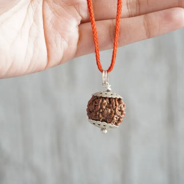 7_Mukhi_Rudraksha_Brown_Bead_Pendant_Mala_(Saat_Mukhi)