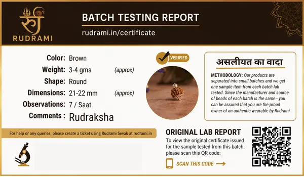Rudraksha_Brown_Bead_Bracelet,_Lab_Certified