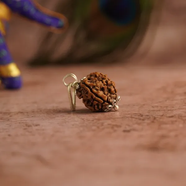 5_Mukhi_Rudraksha_Brown_Bead_Keychain_(Panchmukhi)