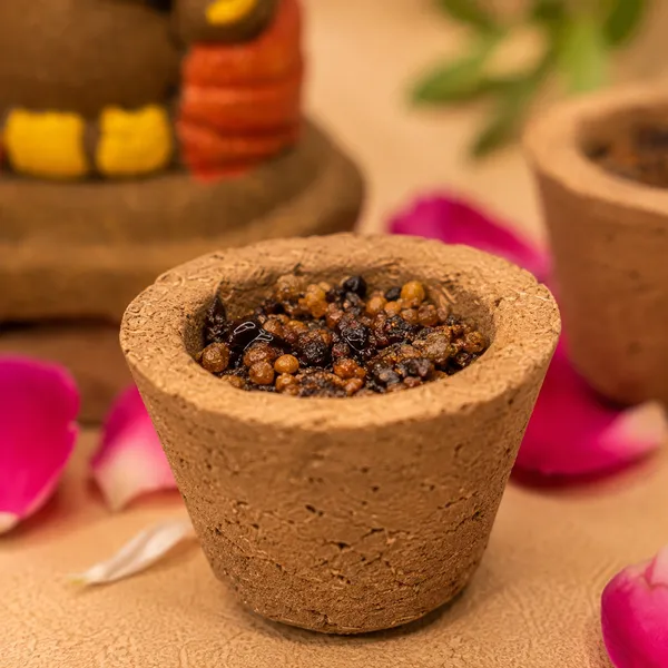 Daily_Puja_Starter_2:_Gomay_Ganesh_Ji_2.5"_+_Samrani_Hawan_Cups_-Set_Of_12_+_Cowdung_Diya_-A_Set_Of_12