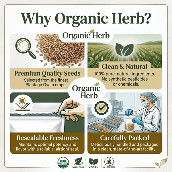 Psyllium_Seeds_Isabgol_Plantago_Ovata