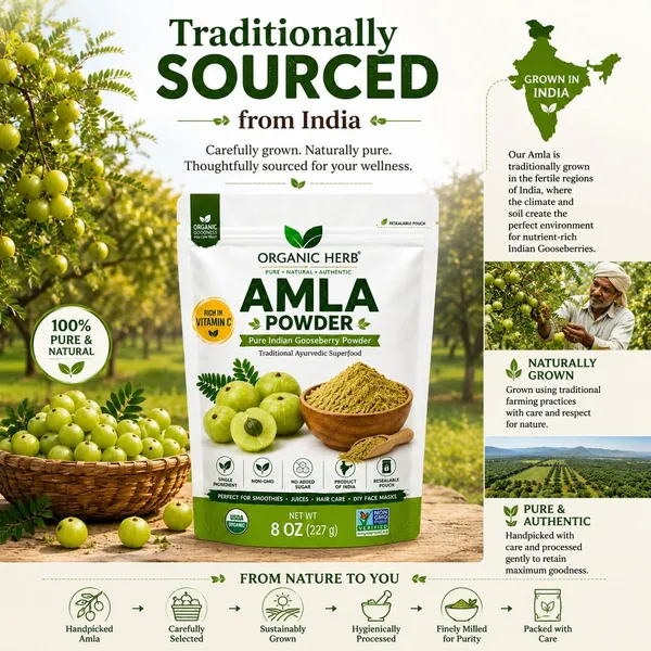 Amla_Powder_Indian_Gooseberry_-_Pack_of_3