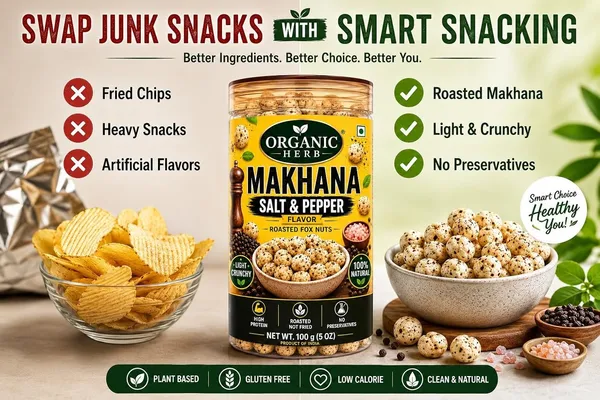 Salt_And_Pepper_Roasted_Makhana_Fox_Nuts_Snack_-_Pack_of_2