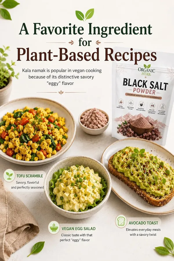 Kala_Namak_Black_Salt_Powder_-_Pack_of_2
