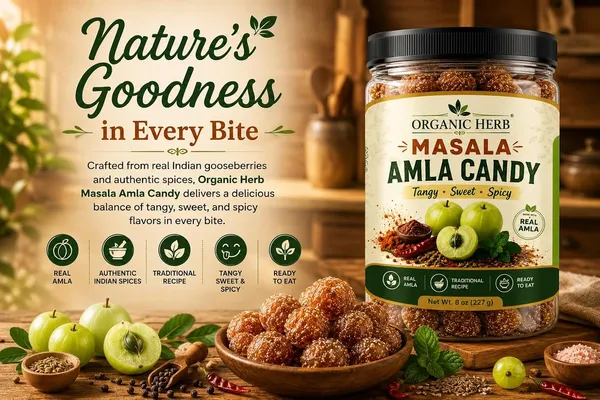 Masala_Amla_Candy_Tangy_Spiced_Indian_Gooseberry