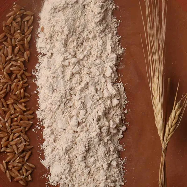 Khapli_Emmer_Wheat_Flour