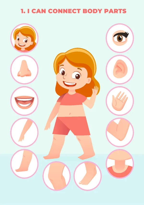 Human_Body_Busy_Book