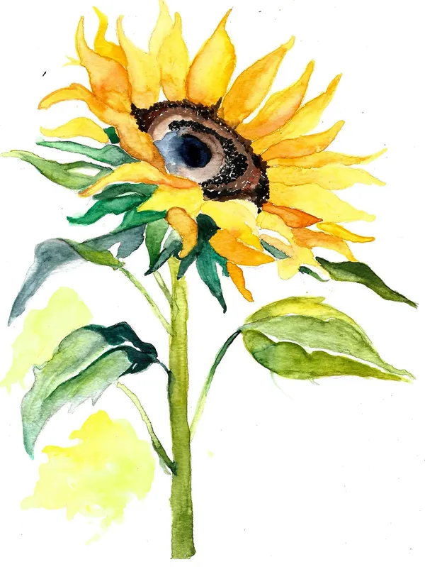 Sunflower_Watercolor_Art_Print_180_Gsm_Matte
