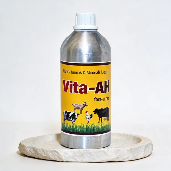 Vita-AH_Multivitamins_And_Minerals_Liquid