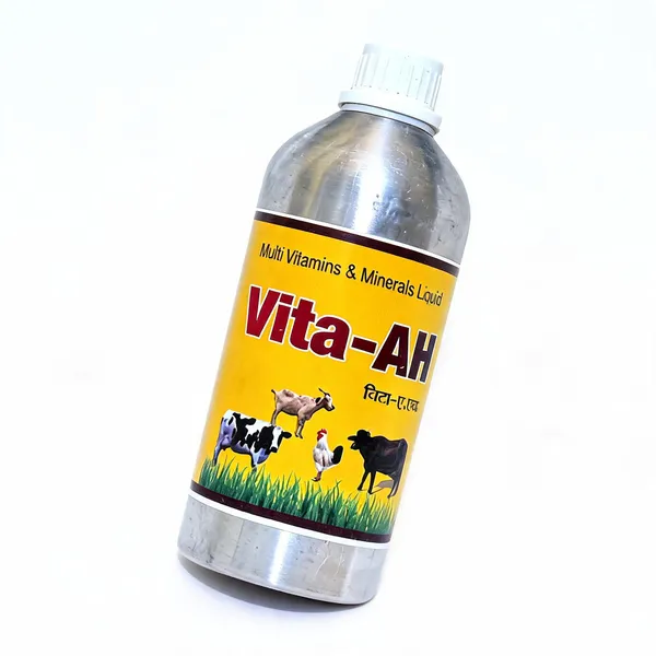 Vita-AH_Multivitamins_And_Minerals_Liquid