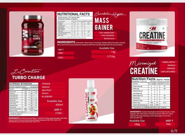 Mass_Gainer_Creatine_And_L-Carnitine_Supplement_Combo