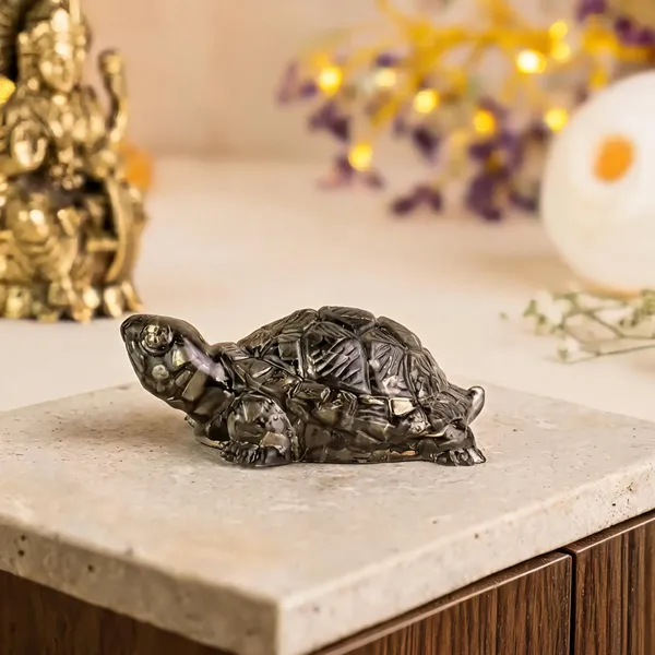Vastu_Pyrite_Tortoise_Kachhua