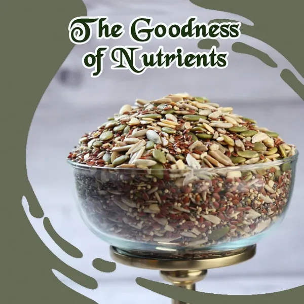 BLK_FOODS_300g_Seed_Mix_|_Protein_Rich_Healthy_Snacks_|_Seeds_Mixture_|_Pumpkin_Seeds,_Sunflower_Seeds,_Watermelon_Seeds,_Brown_Flax_Seeds_(300_g)
