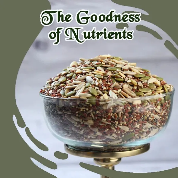BLK_FOODS_600g_Seed_Mix_|_Protein_Rich_Healthy_Snacks_|_Seeds_Mixture_|_(300g_X_2)_Pumpkin_Seeds,_Sunflower_Seeds,_Watermelon_Seeds,_Brown_Flax_Seeds_(2_x_300_g)