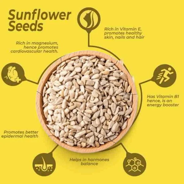 BLK_FOODS_600g_Seed_Mix_|_Protein_Rich_Healthy_Snacks_|_Seeds_Mixture_|_(300g_X_2)_Pumpkin_Seeds,_Sunflower_Seeds,_Watermelon_Seeds,_Brown_Flax_Seeds_(2_x_300_g)