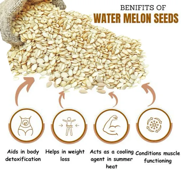 BLK_FOODS_600g_Seed_Mix_|_Protein_Rich_Healthy_Snacks_|_Seeds_Mixture_|_(300g_X_2)_Pumpkin_Seeds,_Sunflower_Seeds,_Watermelon_Seeds,_Brown_Flax_Seeds_(2_x_300_g)