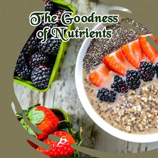 BLK_FOODS_Select_500g_Raw_Chia_Seeds_for_Weight_loss_|_Rich_in_Omega_3,_Zinc_&_Fiber_Chia_Seeds_(500_g)