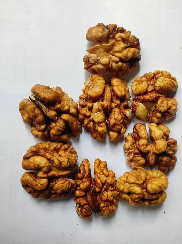 BLK_FOODS_Dry_fruits_combo_pack_of_Healthy_i_Badam_Kaju_Pista_Kishmish_Akhrot_(150g_X_5_)_Cashews,_Almonds,_Pistachios,_Walnuts,_Raisins_(5_x_150_g)