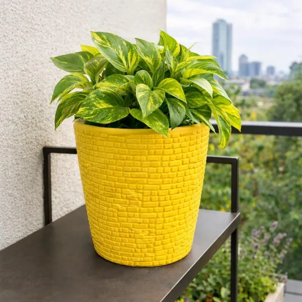Decorative_Plastic_Flower_Pots_pack_of_1_Plant_Container_Set_(Plastic)