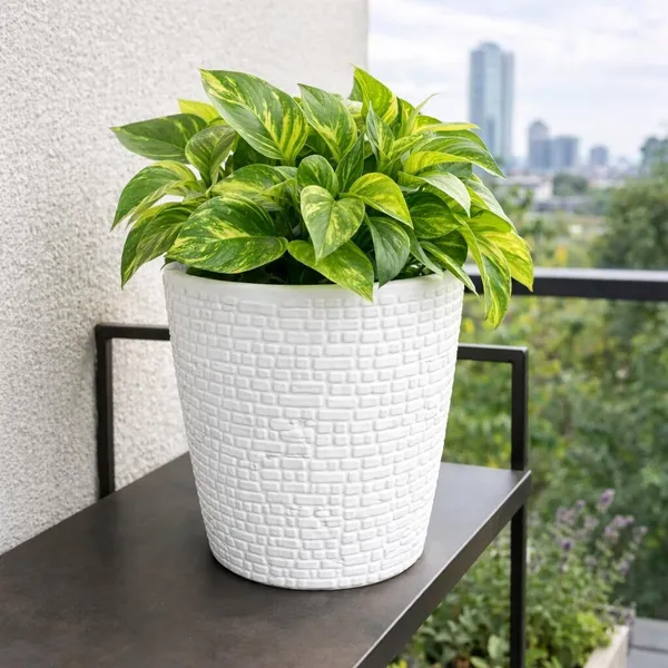 White_Decorative_Plastic_Flower_Pots_Pack_Of_1_Plant_Container_Set_(Plastic)