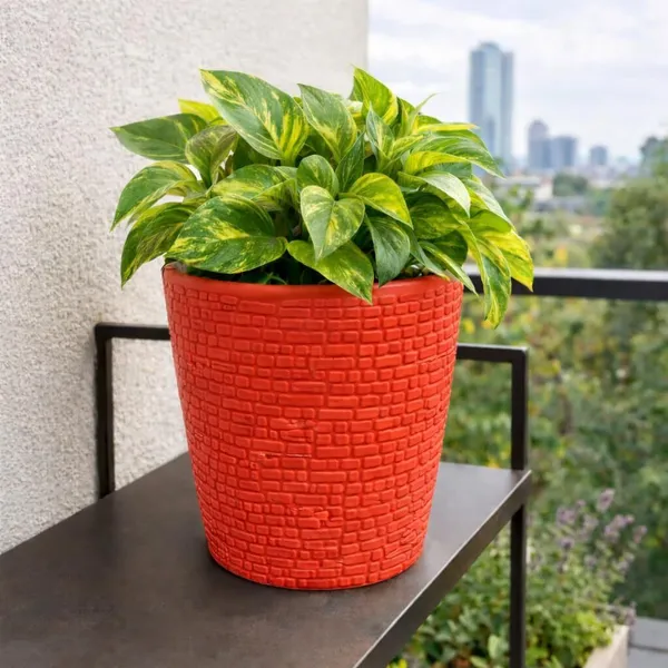 Green_Decorative_Plastic_Flower_Pots_Pack_Of_1_Plant_Container_Set_(Plastic)