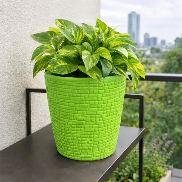 Green_Decorative_Plastic_Flower_Pots_Pack_Of_1_Plant_Container_Set_(Plastic)