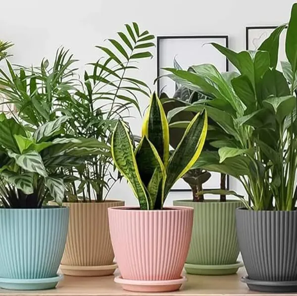 Plastic_Round_Flower_Pots_For_Home,_Office_Planters,_Terrace,_Garden_Plant_Container_Set_(Pack_Of_5,_Plastic)