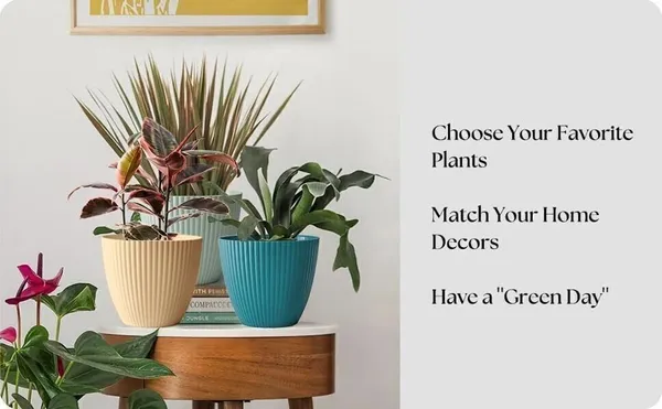 Plastic_Round_Flower_Pots_For_Home_Planters_5_Pcs_Set_Plastic_Vase_Plant_Container_Set_(Pack_Of_5,_Plastic)
