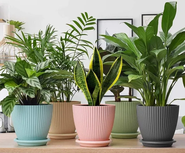 Plastic_Round_Flower_Pots_For_Home_Planters_5_Pcs_Set_Plastic_Vase_Plant_Container_Set_(Pack_Of_5,_Plastic)