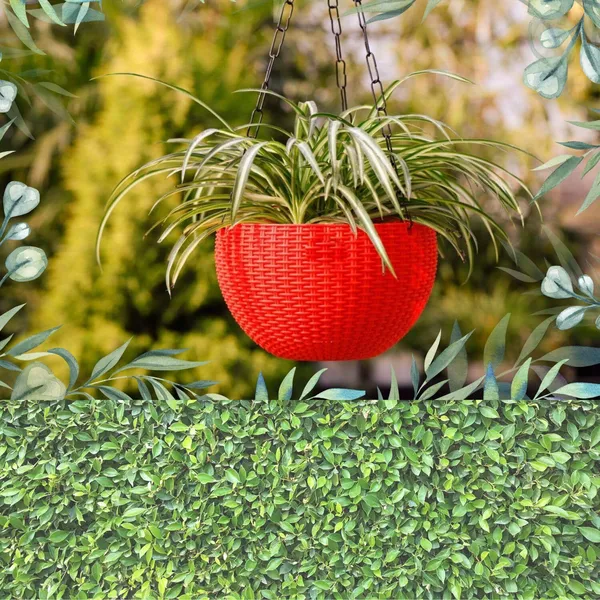 Euro_Hanging_Flower_Pot_|7_Inch|Pack_of_6_Plastic_Vase_(15_inch,_Multicolor)