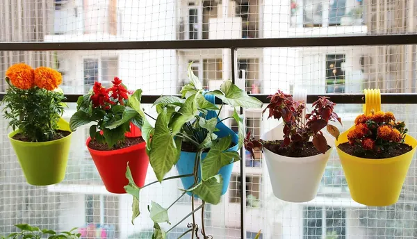 a_BIG_Size_Hanging_Railing_Pots_for_Plants_and_Flower_Pots_Planter_Plastic_Vase_(11_inch,_Multicolor)