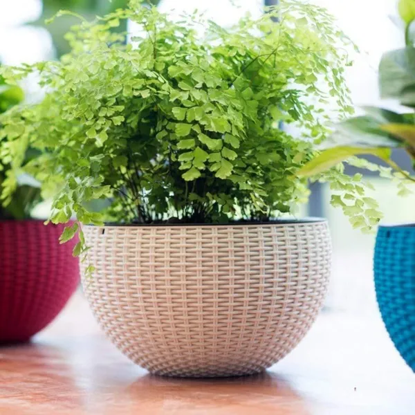 6inch_White_Round_Rattan_Woven_Plastic_Flower_Hanging_Plant_Plastic_Vase_(7_inch,_Multicolor)