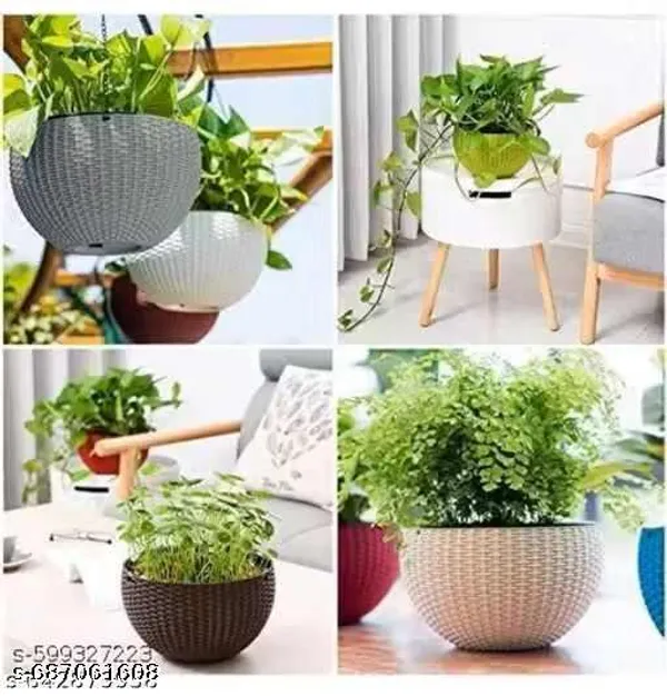 Pack_Of_5_Hanging_Pot_Multicolor_Pack_Of_5with_Metal_Chain
