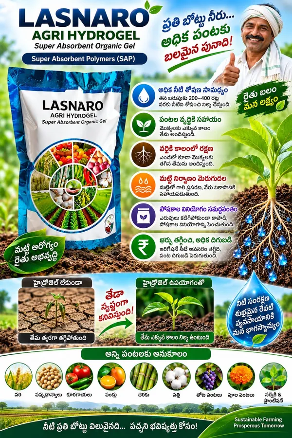 Lasnaro_Agri_Hydrogel_Super_Absorbent_Soil_Moisture_Retainer_1_Kg