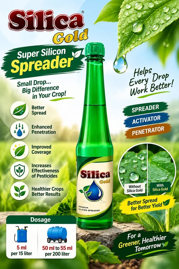 Silica_Gold_Non-Ionic_Silicon_Spreader_Activator_500_Ml