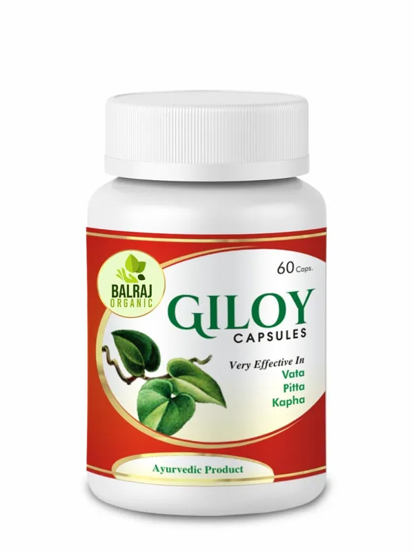 Giloy_Immunity_Support_Tablet
