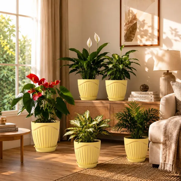 Plastic_Flower_Pot_With_Drain_Tray