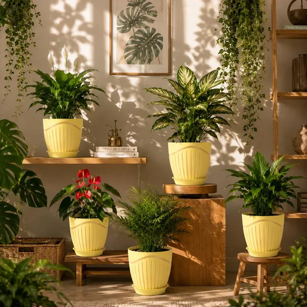 Plastic_Flower_Pot_With_Drain_Tray