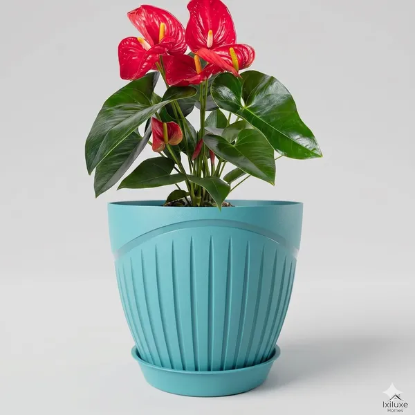 Plastic_Flower_Pot_With_Drain_Tray