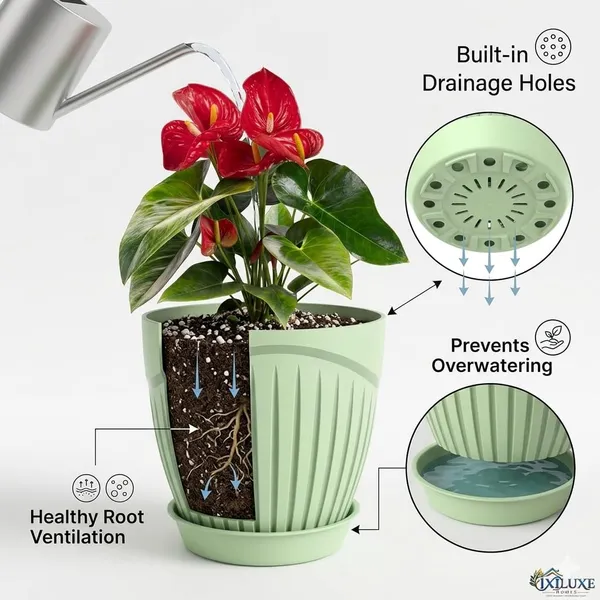 Plastic_Flower_Pot_With_Drain_Tray