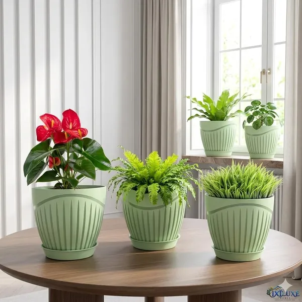 Plastic_Flower_Pot_With_Drain_Tray