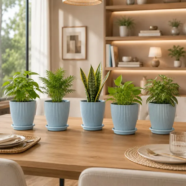 Plastic_Planter_With_Drainage_Tray